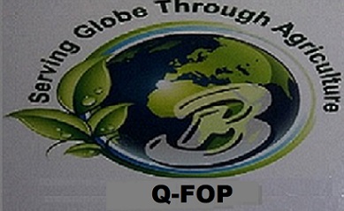 Q-fop With B Device Device mark 4062823 Trademark