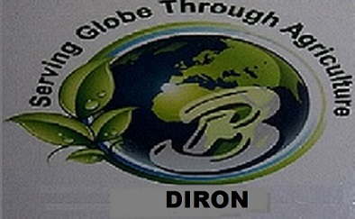 Diron Device mark 4062824 Trademark