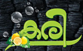 Kari Device mark 4071255 Trademark