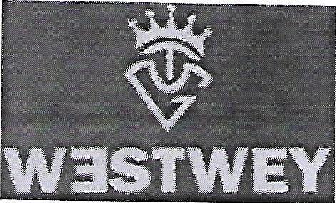 Westwey Device mark 4075999 Trademark