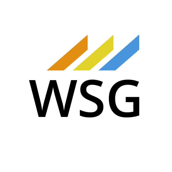 Device Of Wsg Device mark 4079077 Trademark