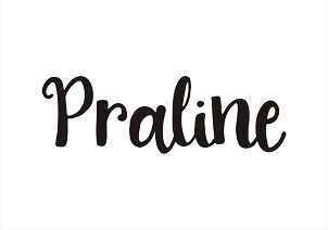 Praline Device mark 4090991 Trademark