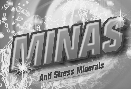 Minas Device mark 4107265 Trademark