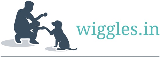 Wiggles.in Device mark 4111049 Trademark