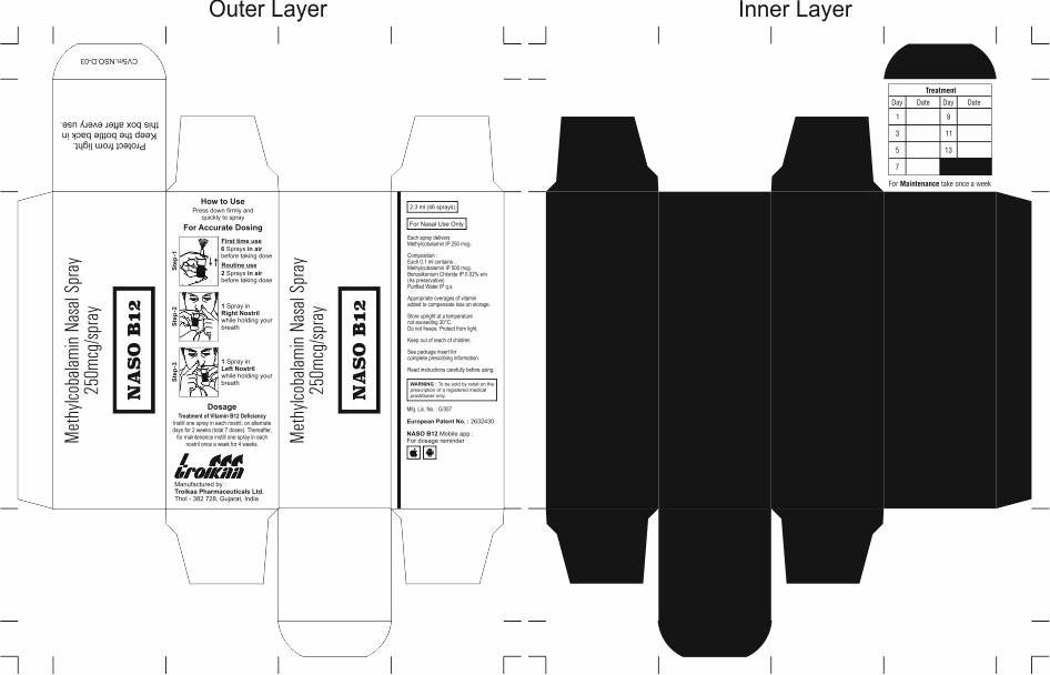 Naso B12 Device mark 4121194 Trademark
