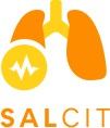 Salcit Device mark 4130282 Trademark