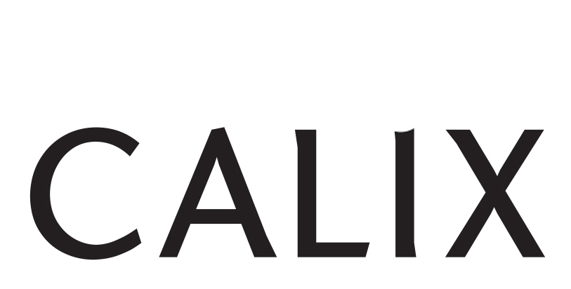 Calix Device mark 4135069 Trademark