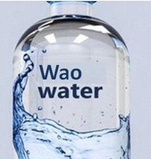 Wao Device mark 4139023 Trademark
