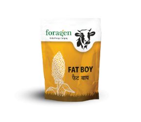 Fatboy Device mark 4140603 Trademark