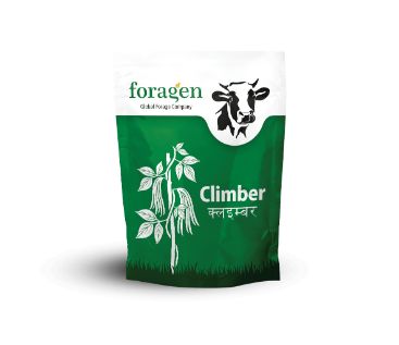 Climber Device mark 4140606 Trademark