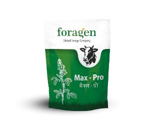 Foragen Max- Pro Device mark 4140613 Trademark