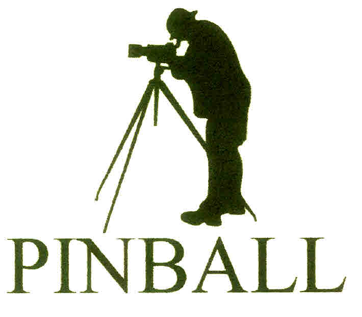 Pinball Device mark 2996609 Trademark
