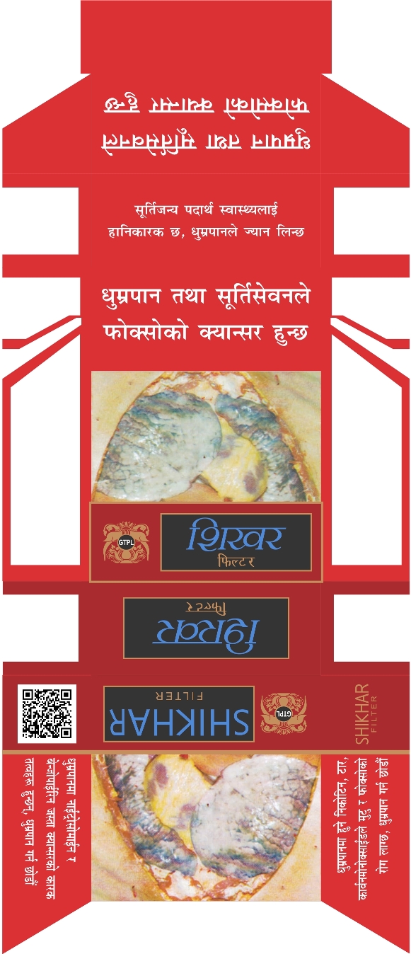 Gtpl Shikhar Device mark 3902984 Trademark