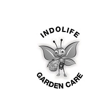 Indolife (composite Label) Device mark 3888793 Trademark