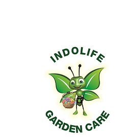 Indolife (composite Label) Device mark 3888795 Trademark