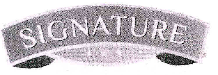 Signature Device mark 2991818 Trademark