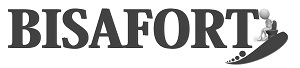 Bisafort Device mark 2989349 Trademark