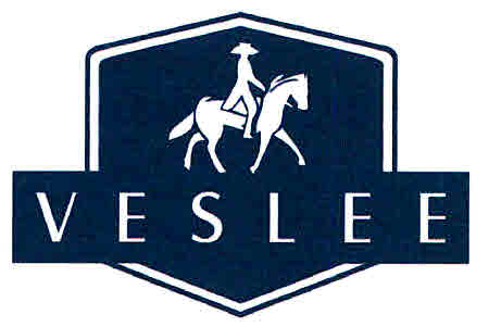 Veslee Device mark 2987707 Trademark