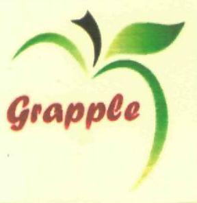 Grapple Device mark 2963256 Trademark