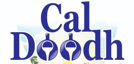 Caldoodh Device mark 4151427 Trademark