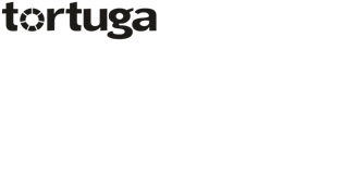 Tortuga Device mark 3782139 Trademark