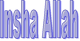 Insha Allah Device mark 4152132 Trademark
