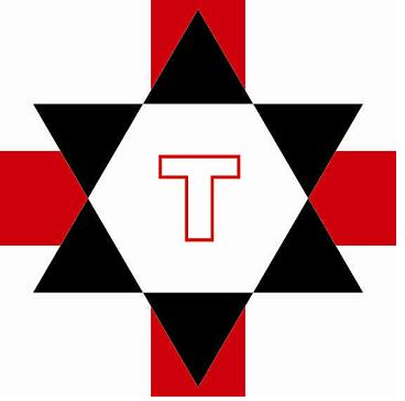 T With Logo Device mark 2949992 Trademark