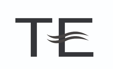 Te Device mark 4152872 Trademark