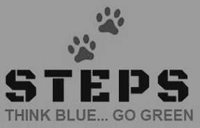 Steps Device mark 4157654 Trademark