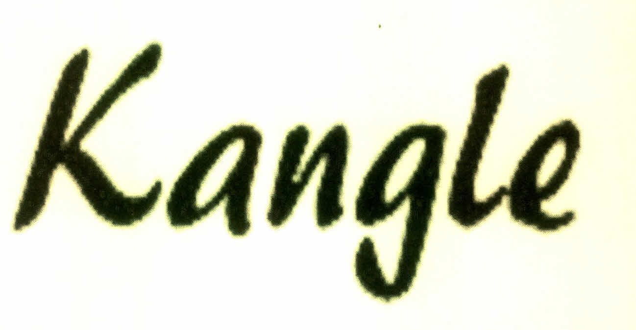 Kangle Device mark 2939297 Trademark