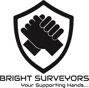 Bright Surveyors Device mark 3765236 Trademark