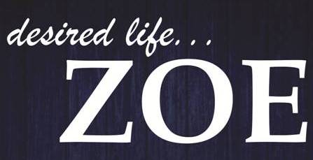 Desired Life Zoe Device mark 4160834 Trademark