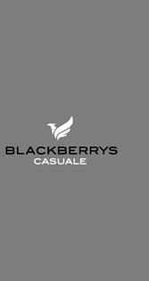 Blackberrys Casuale Device mark 3763742 Trademark