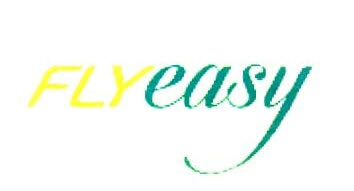 Flyeasy Device mark 2922867 Trademark