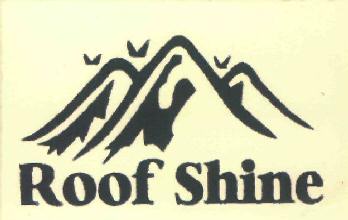 Roof Shine Device mark 2913664 Trademark