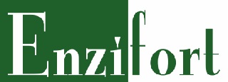 Enzifort Device mark 3762830 Trademark
