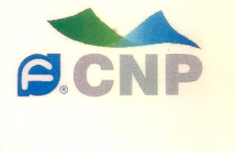 Cnp Device mark 4167948 Trademark