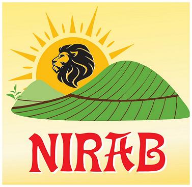 Nirab Device mark 4169873 Trademark