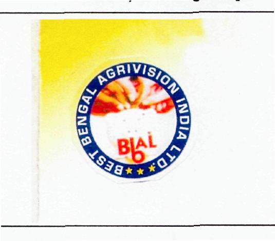 Bbal Device mark 2389193 Trademark