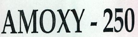Amoxy - 250 Device mark 2388234 Trademark