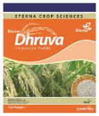 Eterna Dhruva Device mark 4174024 Trademark