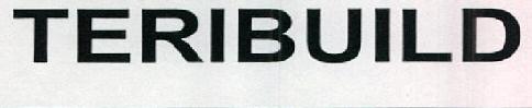 Teribuild Device mark 2366024 Trademark
