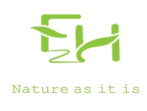 F2h Nature As It Is Device mark 3758374 Trademark