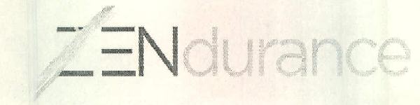 Zendurance Device mark 2349047 Trademark