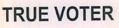 True Voter Device mark 3387095 Trademark