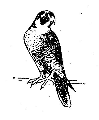 Device Device mark 296442 Trademark