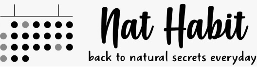 Nat Habit - Back To Natural Secrets Everyday Device mark 4178971 Trademark