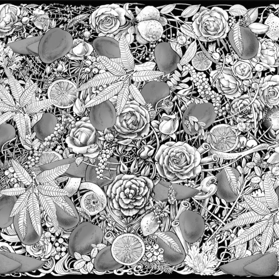 Image Consisting Of Devices Of Roses, Citrus And Mangoes Device mark 4180274 Trademark