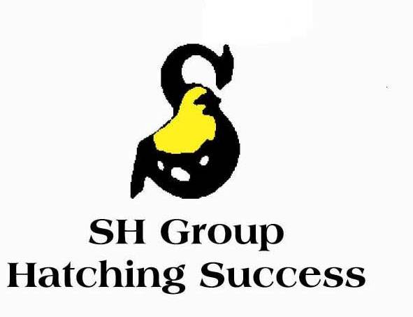 Sh Group Device mark 2333654 Trademark