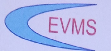 Evms (logo) Device mark 3753165 Trademark